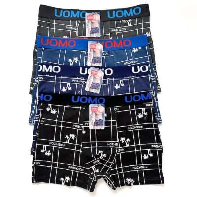 Vyriški apatiniai Boxer P120